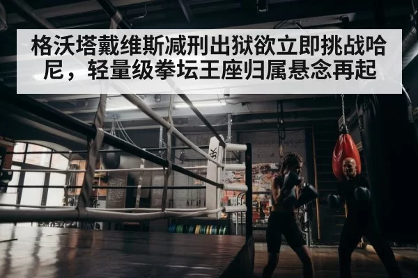 boxer training