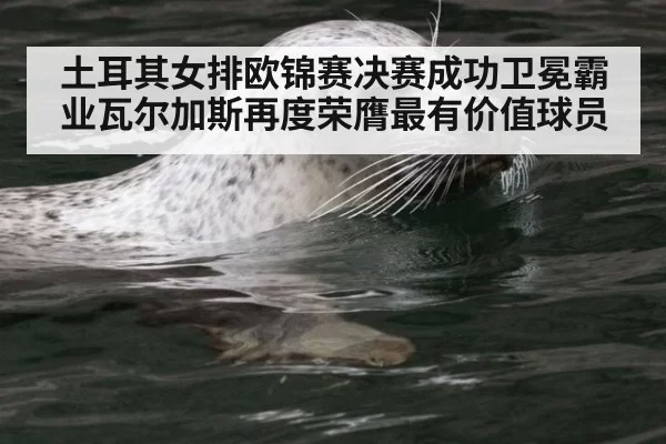 土耳其女排欧锦赛决赛成功卫冕霸业瓦尔加斯再度荣膺最有价值球员